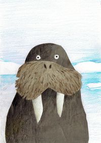 walrus